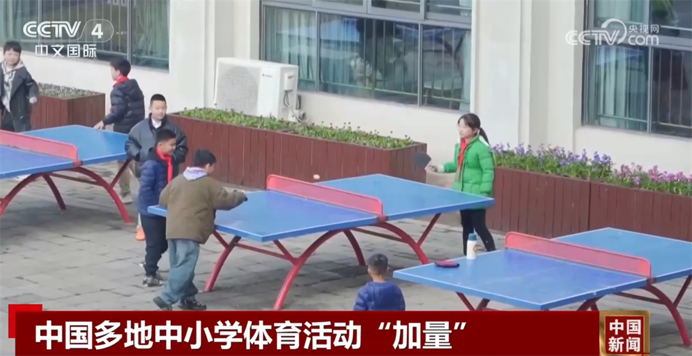 是他职业生