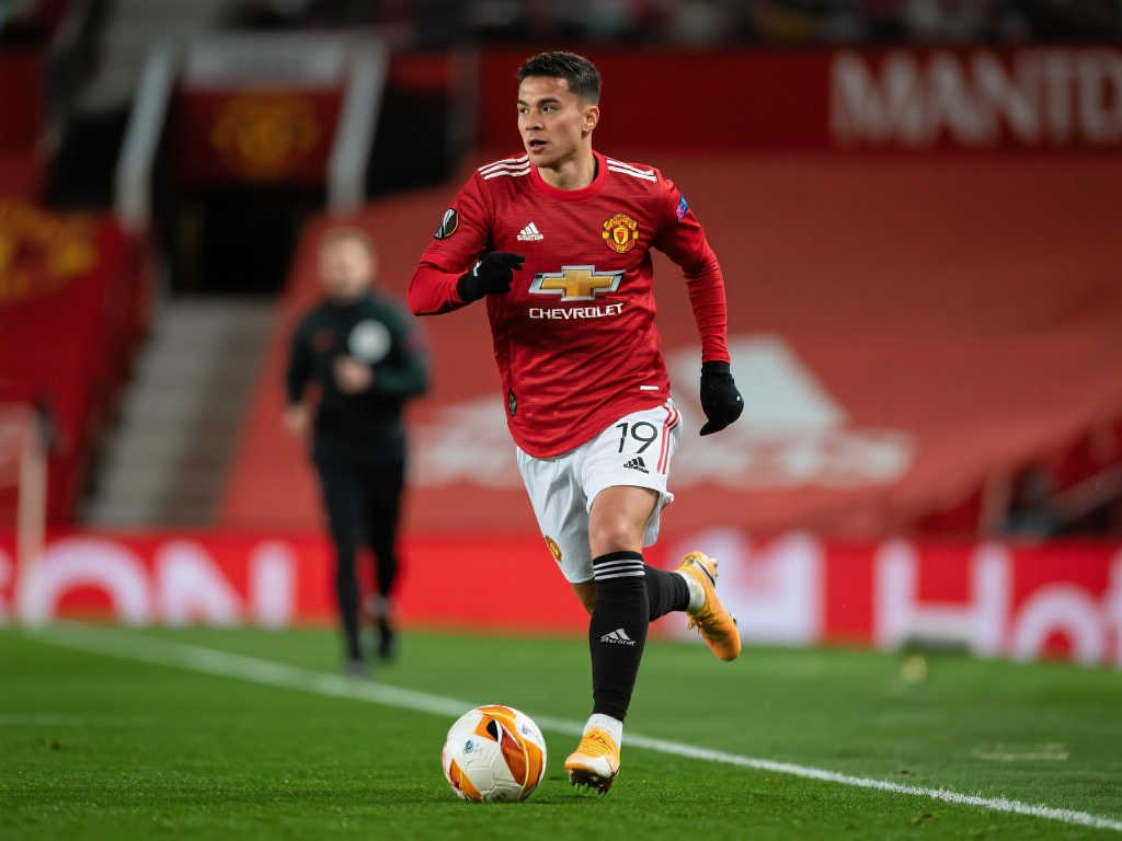 泛的宣传 泛的宣传